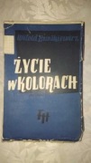 Życie w kolorach Witold Bunikiewicz 1930