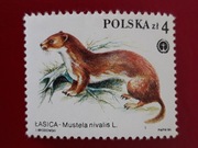 Fi 2798 **  1984r.