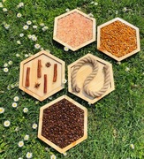 NATURALNA ŚCIEŻKA SENSORYCZNA