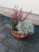 Jesienne kompozycje kwiatowe