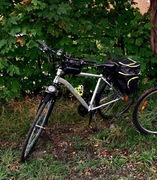 Rower nowy romet wagant 1