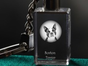 Boston terrier brelok sześcienny ŚWIECĄCY
