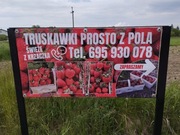 Baner reklamowy z dowolnym nadrukiem 