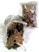 LIŚCIE DĘBU -- opakowanie 2L.