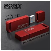 Pendrive Sony 1 TB