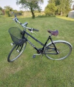 Rower Giant Retro aluminium 28”