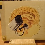 The Hidden Cameras - Origin: Orphan/ Kanada