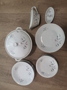 Zastawa obiadowa Chodzież