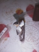 Frez spiralny 18 mm do zamków HWM | Włoski | 150 mm