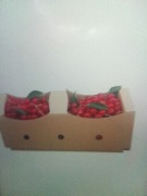 Wiśnie w koszyku 1,5 kg