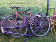 Stare rowery + dużo części rowerowych (Raleigh i inne, ramy, koła)