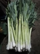 Por wiązka 10 sztuk wysyłka inpost od rolnika