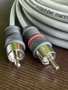 Przewód RCA Clarion 2xCinch 18ft (5,5m) – kabel audio 2-kanałowy