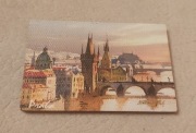 Magnes na lodówkę Praha. Praga. Czechy.