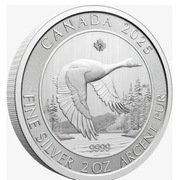 SREBRNA MONETA GĘŚ KANADYJSKA 2 oz. 2 uncje -62,2 gr