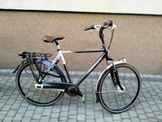 Rower Gazelle Eclipse Limited Edition H57