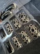 Tipsy panterka złoto brokat hitowe