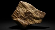 Skamieniałe DREWNO zastąpione krzemionką Wystawowy PERM Strzelce Op.