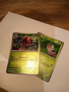 Karta POKEMON TCG ACCELGOR JTG 013/159 HOLO REVERSE + shelmet 012/159