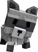 RACCOON - Grow a Garden - Roblox - Pet