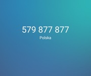 Złoty Numer 579 877 877