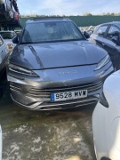 BYD Seal Atto Dolfhine