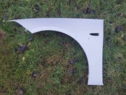 Ingynia B- blotnik przedni lewy