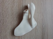 Lewa łopatka kostek szkielet ciało człowieka National Geographic