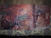 Zior - Zior  LP  hard psych. rock  MN