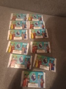 Panini premier league 2024 saszetki  cena za 1