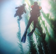 eLearning – Peak Performance Buoyancy (Pływalność) – materiały cyfrowe