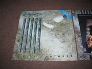 KajaGooGoo – White Feathers