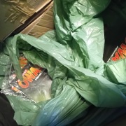 Prawdziwe owady 2023r. -61 szt.