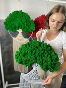 Mech drzewko z mchem dekoracja ozdoba prezent 