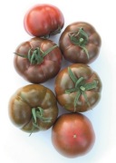 Pomidor Big Sacher F1 firmy Yuksel 2 nasiona czekoladowy premium