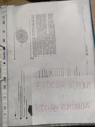 Biologia materiały do nauki budowa komórki i podziały komórkowe sprawdziany