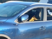 Drzwi lewe,PRAWE Renault Kadjar TERPR