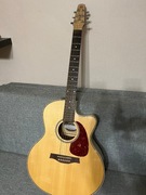 Seagull Performer CW Mini Jumbo HG 