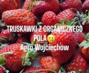 Truskawki bez oprysków Smart Ilości ograniczona!