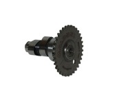 Wałek rozrządu Malossi Power Baotian Kymco GY6 50 4T - M.5914143