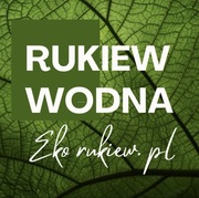 Rukiew wodna liście 30g