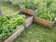 NADSTAWKI PALET INSPEKTY 120x80x20cm Składane W-wa