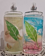 Elizabeth Arden Postachio Crunch 