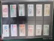 CHEŁM MPK LUBLIN MZK PUŁAWY ZAMOŚĆ BIAŁA PODLASKA MPK KRAŚNIK MIĘDZYRZEC P.