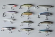 Woblery boleniowe - zestaw 12szt.