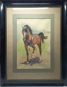 Wojciech Kossak (1856-1942) Akwarela-Koń arabski 