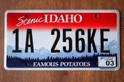 Tablica rejestracyjna USA Idaho – Scenic