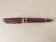 Pióro wieczne Sailor Pro Gear Realo, stalówka Medium 21K złoto (875)