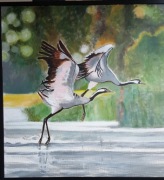 Obraz olejny "Żurawie"