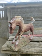 Koń krwi arabskiej autor Krzysztof Grodzicki